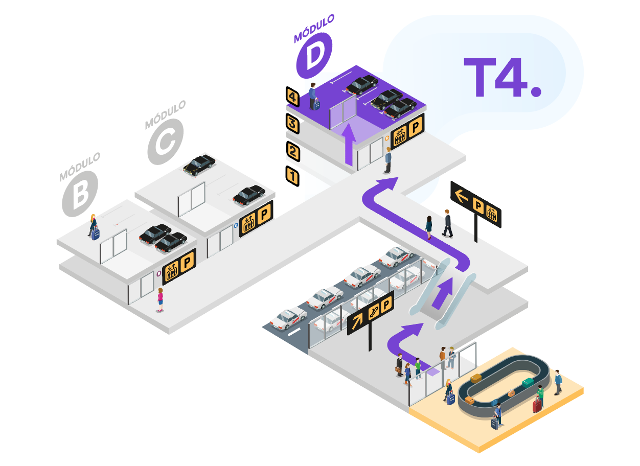 T4 (2025).png